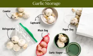 Learn the best ways how to store garlic: on the counter, in a cupboard, refrigerator, mesh bag, paper bag, or a garlic keeper.