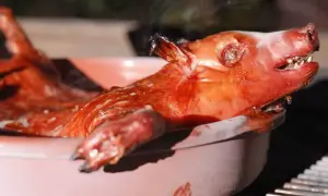 A perfectly roasted Spanish cochinillo, glistening and steaming, rests in a pink ceramic dish.