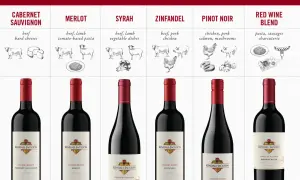 Red wine and food pairings chart: Merlot with tomato-based pasta, Cabernet Sauvignon with beef and hard cheeses, and other varietals.