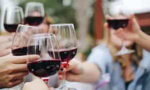 Friends clink glasses filled with rich red crianza wine, celebrating a special moment outdoors.