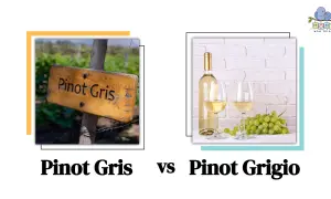 A wooden sign reads "Pinot Gris" in a vineyard. Next to it, a bottle and two glasses of white wine with grapes, hinting at the pinot grigio taste.