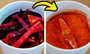 Dried red chilies transform into vibrant paprika powder in a grinder, showing how to make paprika.