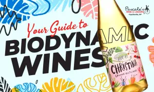Your guide to biodynamic wines, featuring a bottle of Christina Gruner Veltliner with whimsical insect illustrations.