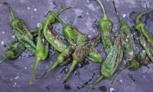 A pile of blistered, pan-fried Gernika peppers, glistening with oil and sprinkled with coarse sea salt, rest on a dark slate surface.