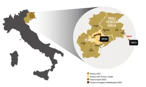 Map of Italy highlighting the Veneto and Friuli Venezia Giulia regions, showing where Prosecco is from, with Treviso and Trieste marked.