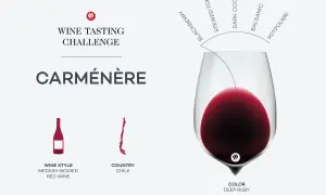 A wine tasting challenge graphic for Carménère, a medium-bodied Chilean red wine with deep ruby color and notes of blackberry, stewed tomato, dark cocoa, balsamic, and potpourri.