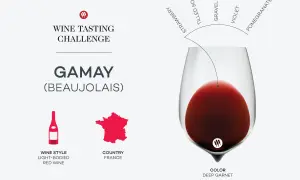 A wine tasting challenge graphic for Gamay (Beaujolais) wine, detailing its light-bodied red style, French origin, and deep garnet color with notes of strawberry, tilled soil, gravel, violet, and pomegranate.