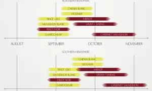 Timeline showing grape season for various wines in Northern and Southern Hemispheres, from August to November and January to April respectively.