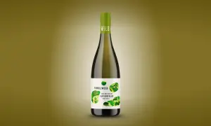 A bottle of Tumbleweed Sauvignon Blanc, a dry white wine from South Africa, with a green cap and a label featuring abstract green leaf patterns.