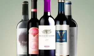 A collection of five bottles of Spanish red wines, featuring Mencia and other varietals, ready to be savored.