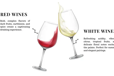 Two wine glasses, one with red wine and one with white wine, are shown. Zinfandel is a red wine.