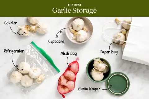 Learn the best ways how to store garlic: on the counter, in a cupboard, refrigerator, mesh bag, paper bag, or a garlic keeper.