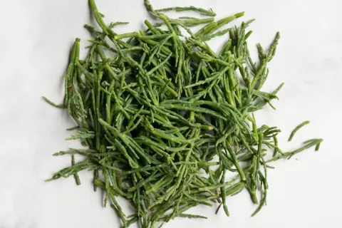 A pile of fresh, bright green sea beans, also known as samphire, ready to be seasoned and enjoyed.