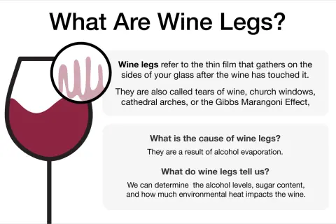 Illustration explaining wine legs, the thin film left on a glass after swirling, and what they indicate about the wine.