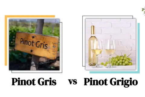 A wooden sign reads "Pinot Gris" in a vineyard. Next to it, a bottle and two glasses of white wine with grapes, hinting at the pinot grigio taste.