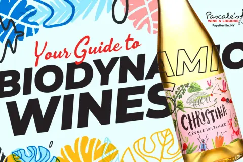 Your guide to biodynamic wines, featuring a bottle of Christina Gruner Veltliner with whimsical insect illustrations.