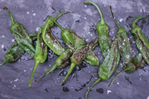A pile of blistered, pan-fried Gernika peppers, glistening with oil and sprinkled with coarse sea salt, rest on a dark slate surface.