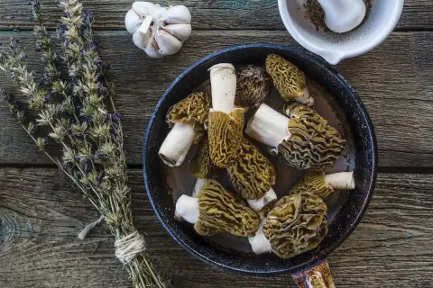 A pan of wild asparagus mushrooms, garlic, and dried herbs on a wooden table, ready for a delicious meal.