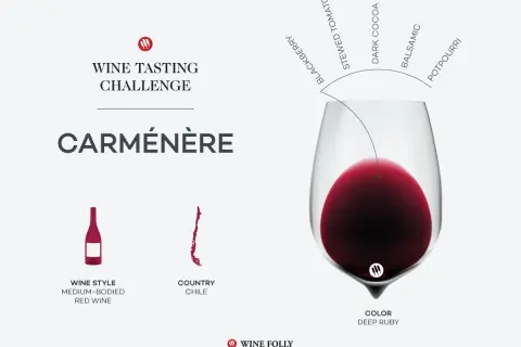 A wine tasting challenge graphic for Carménère, a medium-bodied Chilean red wine with deep ruby color and notes of blackberry, stewed tomato, dark cocoa, balsamic, and potpourri.