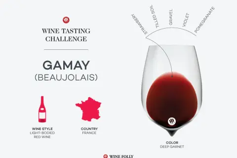 A wine tasting challenge graphic for Gamay (Beaujolais) wine, detailing its light-bodied red style, French origin, and deep garnet color with notes of strawberry, tilled soil, gravel, violet, and pomegranate.