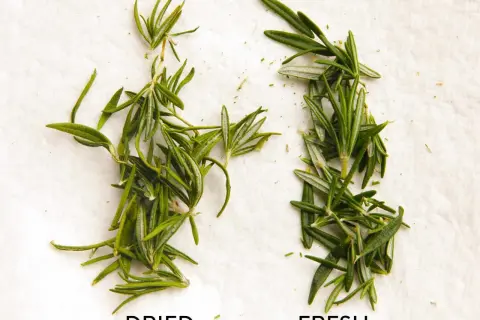 Dried vs. fresh rosemary sprigs on a white surface, illustrating how to dry herbs.