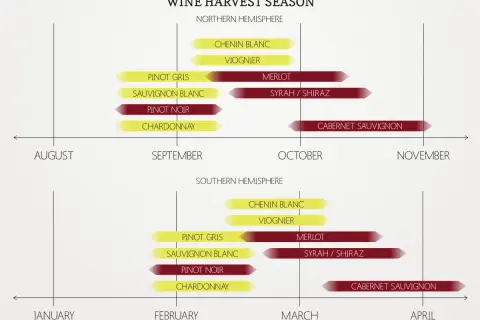 Timeline showing grape season for various wines in Northern and Southern Hemispheres, from August to November and January to April respectively.
