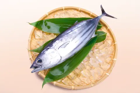 A fresh bonito, a type of tuna, rests on ice and green leaves in a woven basket.