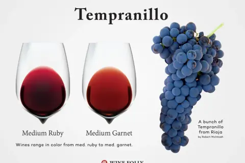 Two glasses of tempranillo red wine, one medium ruby, the other medium garnet, next to a bunch of ripe tempranillo grapes.