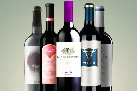 A collection of five bottles of Spanish red wines, featuring Mencia and other varietals, ready to be savored.