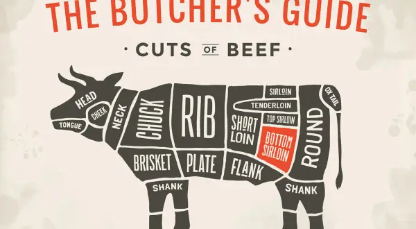 Butcher's guide to beef cuts, highlighting the sirloin tip in Spanish, also known as "solomillo de cadera.