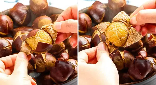 Hands peel a roasted chestnut, revealing the soft, golden nut inside. This is a key step in how you prepare chestnuts for a delicious snack.