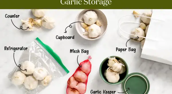 Learn the best ways how to store garlic: on the counter, in a cupboard, refrigerator, mesh bag, paper bag, or a garlic keeper.