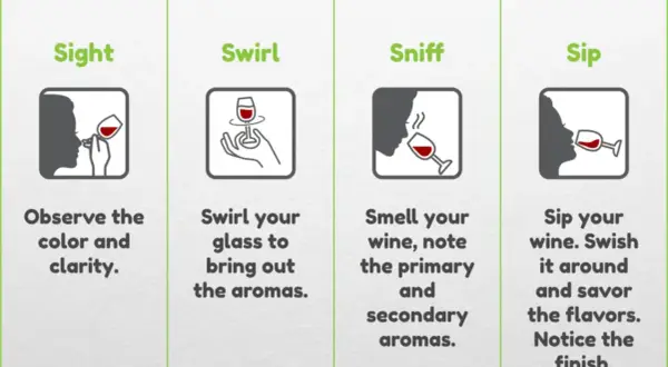 Four steps to wine tasting: sight (observe wine color), swirl, sniff, and sip.