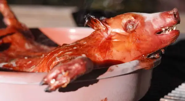 A perfectly roasted Spanish cochinillo, glistening and steaming, rests in a pink ceramic dish.