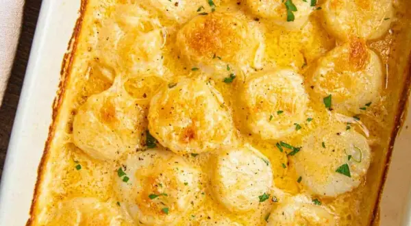 A close-up of a creamy scallop gratin in a white baking dish, topped with fresh parsley and black pepper.