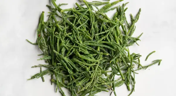 A pile of fresh, bright green sea beans, also known as samphire, ready to be seasoned and enjoyed.