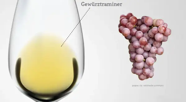 A glass of yellow Gewürztraminer wine next to a bunch of pink grapes. Perfect for exploring Gewürztraminer pairing.