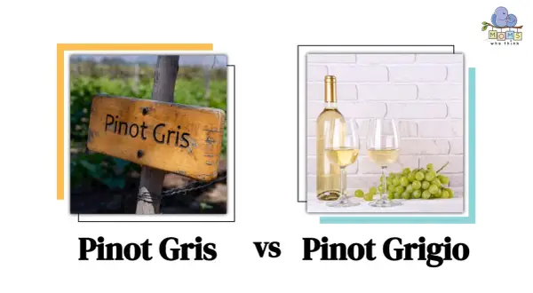 A wooden sign reads "Pinot Gris" in a vineyard. Next to it, a bottle and two glasses of white wine with grapes, hinting at the pinot grigio taste.