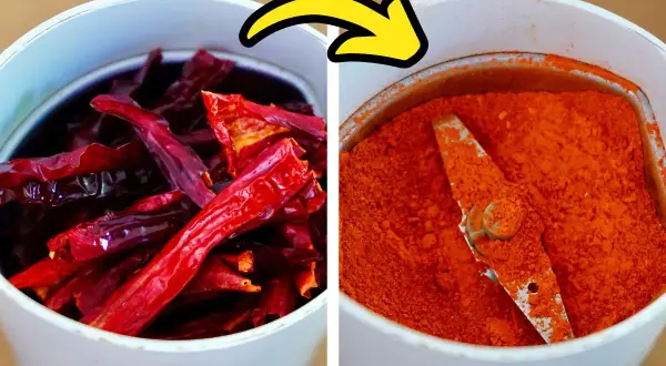 Dried red chilies transform into vibrant paprika powder in a grinder, showing how to make paprika.