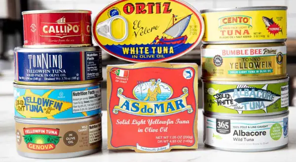 A colorful assortment of canned tuna food, featuring brands like Ortiz, Cento, Bumble Bee, and Genova, showcasing various types of tuna in olive oil.