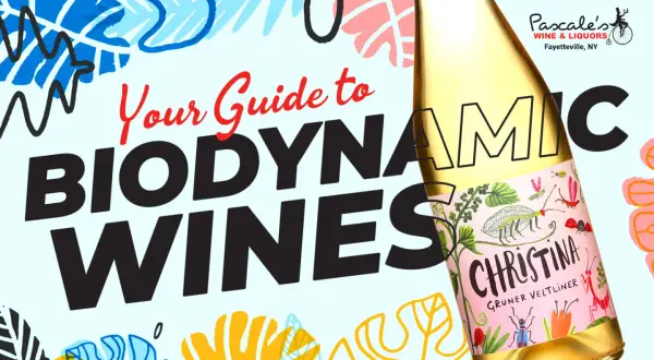 Your guide to biodynamic wines, featuring a bottle of Christina Gruner Veltliner with whimsical insect illustrations.