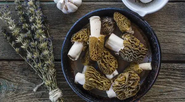 A pan of wild asparagus mushrooms, garlic, and dried herbs on a wooden table, ready for a delicious meal.