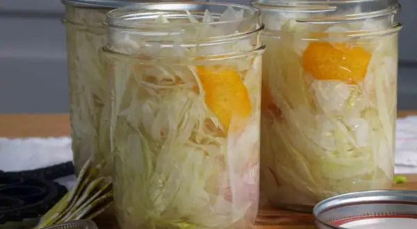 Jars of pickled fennel with orange peel, ready for the pantry.