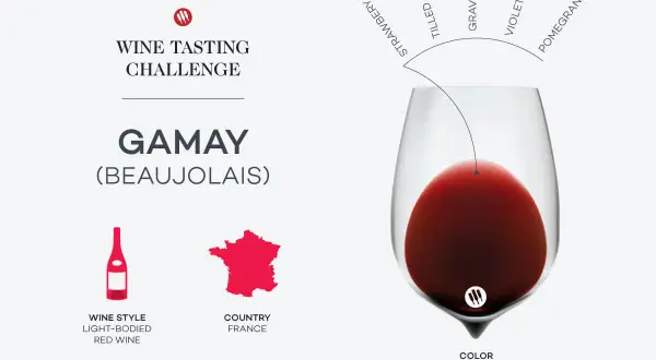 A wine tasting challenge graphic for Gamay (Beaujolais) wine, detailing its light-bodied red style, French origin, and deep garnet color with notes of strawberry, tilled soil, gravel, violet, and pomegranate.