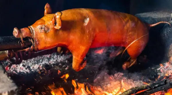 A whole cochinillo asado, golden brown and glistening, slowly roasts over an open fire. The simple cochinillo asado ingredients are evident in its perfect crisping skin.