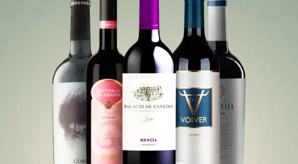 A collection of five bottles of Spanish red wines, featuring Mencia and other varietals, ready to be savored.