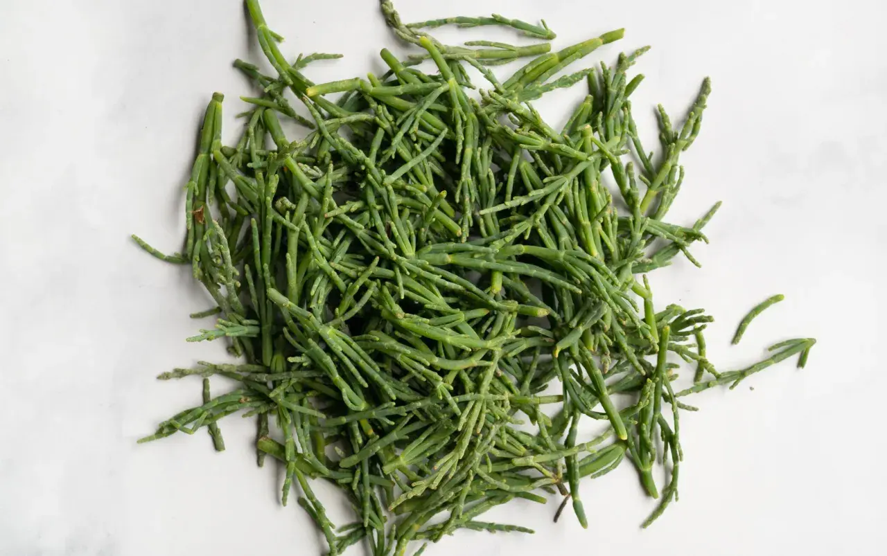 A pile of fresh, bright green sea beans, also known as samphire, ready to be seasoned and enjoyed.