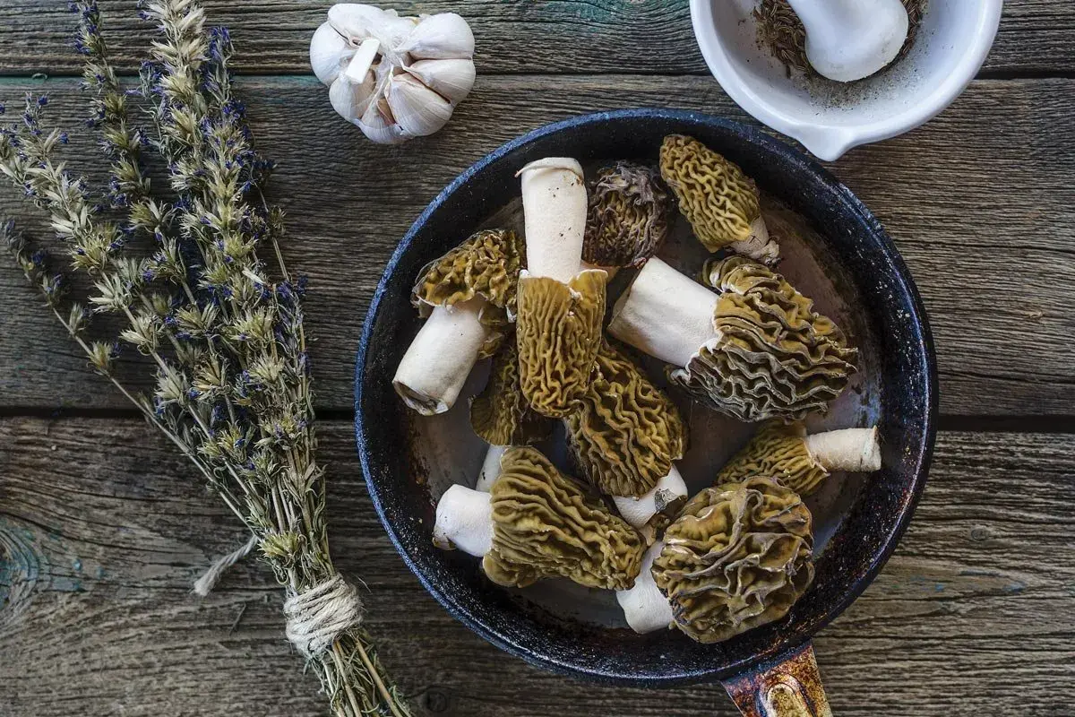 A pan of wild asparagus mushrooms, garlic, and dried herbs on a wooden table, ready for a delicious meal.
