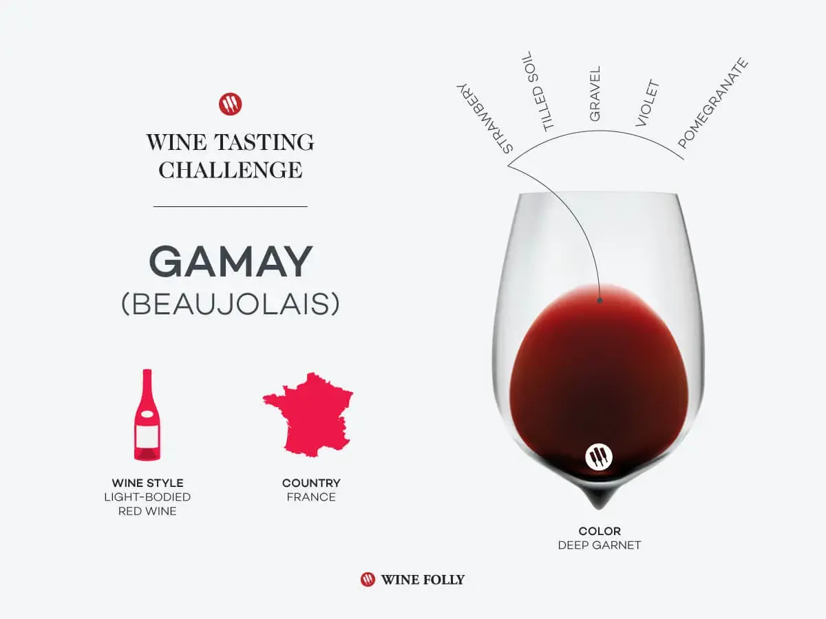 A wine tasting challenge graphic for Gamay (Beaujolais) wine, detailing its light-bodied red style, French origin, and deep garnet color with notes of strawberry, tilled soil, gravel, violet, and pomegranate.