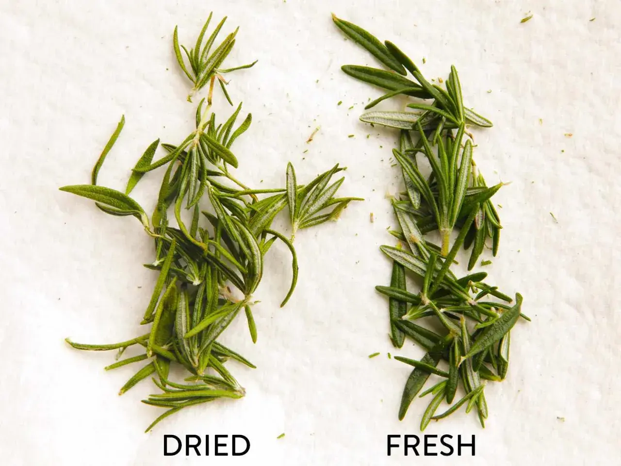 Dried vs. fresh rosemary sprigs on a white surface, illustrating how to dry herbs.